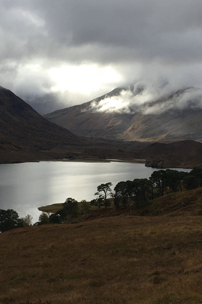 Illuminating the Wilderness background
