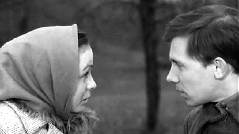 Still image for Такая короткая долгая жизнь season 1 episode 5: Episode 5