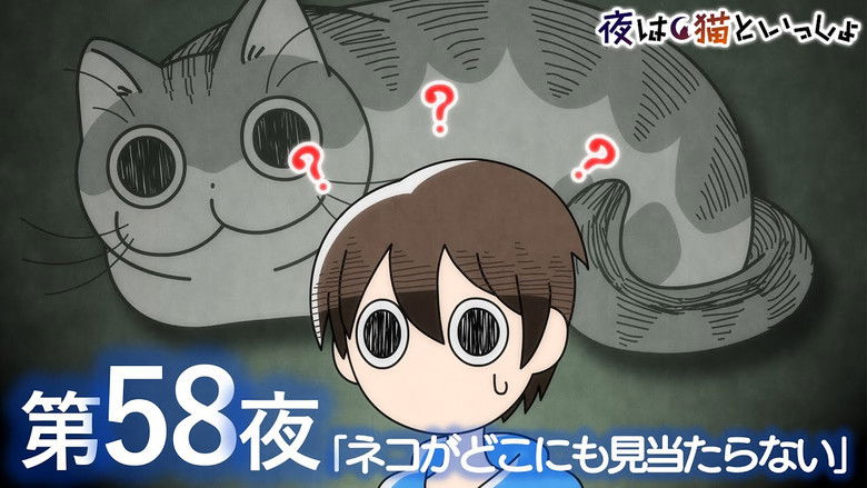 Still image for Nights with a Cat season 1 episode 58: Night 58: A Cat Who's Nowhere to be Found