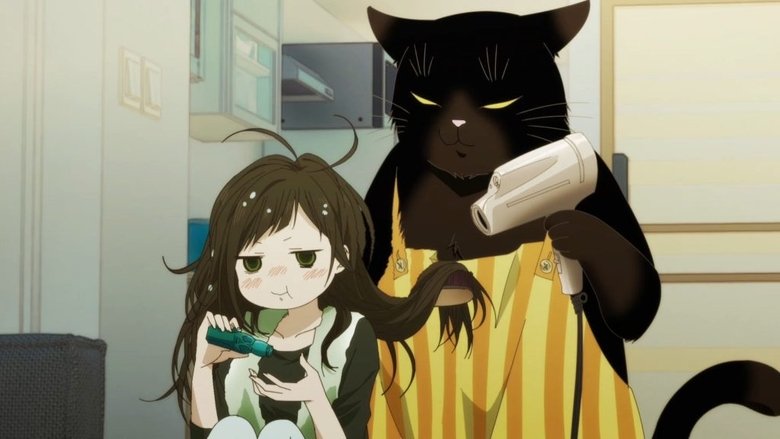 O Gato Prendado é Popular