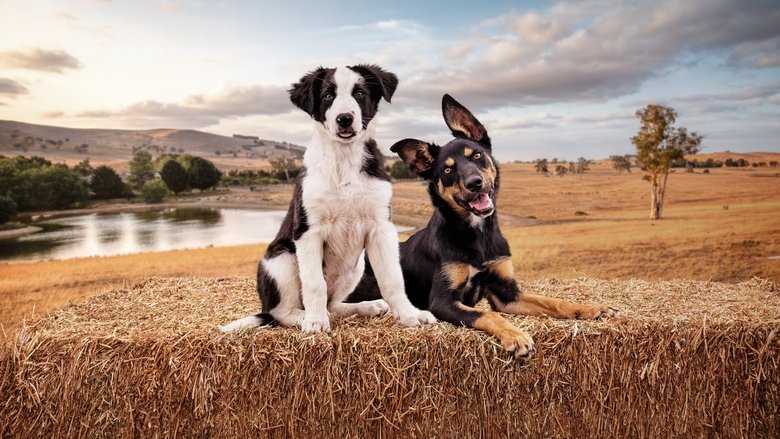 Gallery image from aVq0VovFe92JFIB2qQCBGHlx0W9.jpg