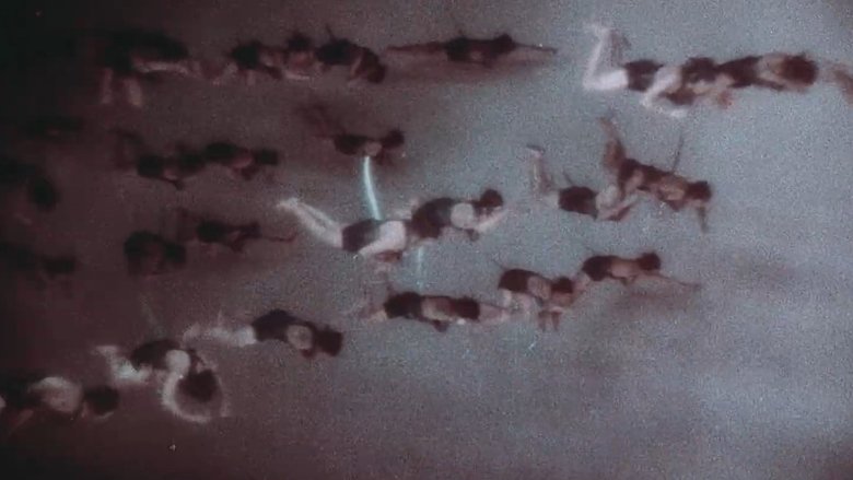 Gallery image from aW4l0dzW80jLXdJs7bo9fX99Chq.jpg