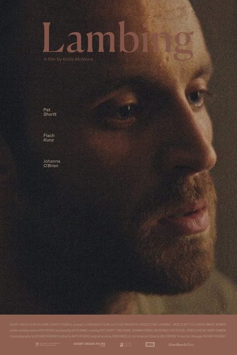 Lambing main poster