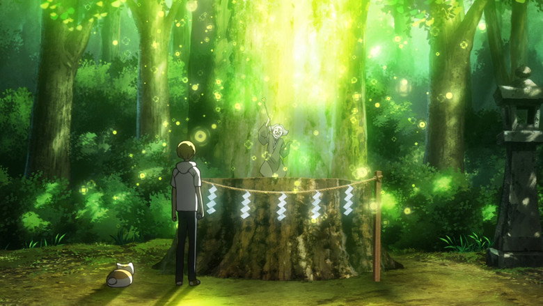 La souche de l’arbre Suzunaru