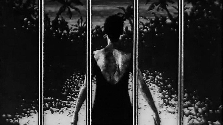 Imatge de Como as Asas Estão Ligadas às Costas dos Anjos