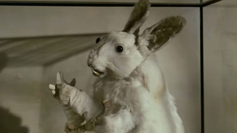 Gallery image from aYpwOgSkVzODm7CSz8oiCVxkYTx.jpg