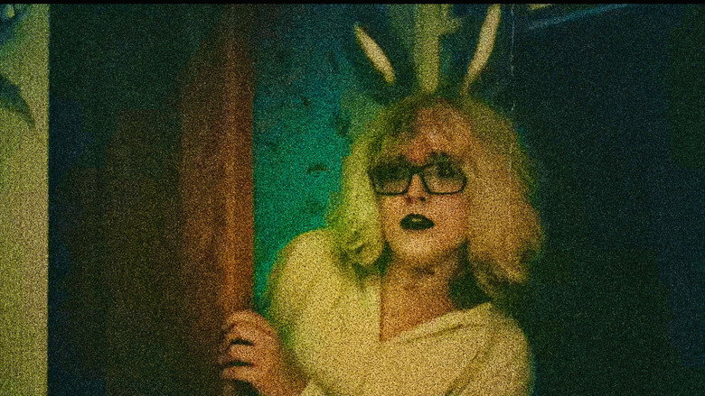 Toy Bunny