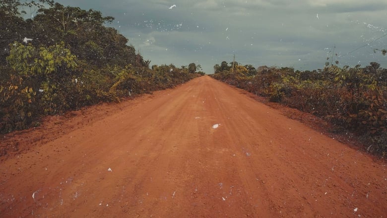 Transamazonica%3A+A+Highway+to+the+Past