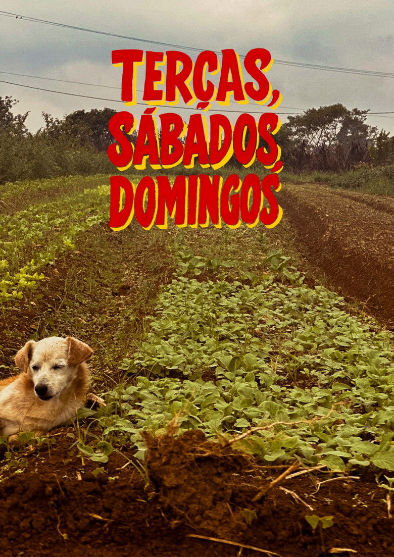 Imatge de Terças, Sábados, Domingos