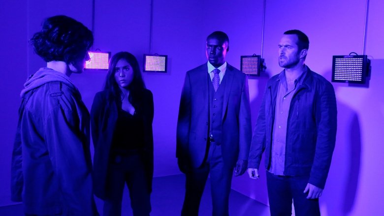 Blindspot: 1×4