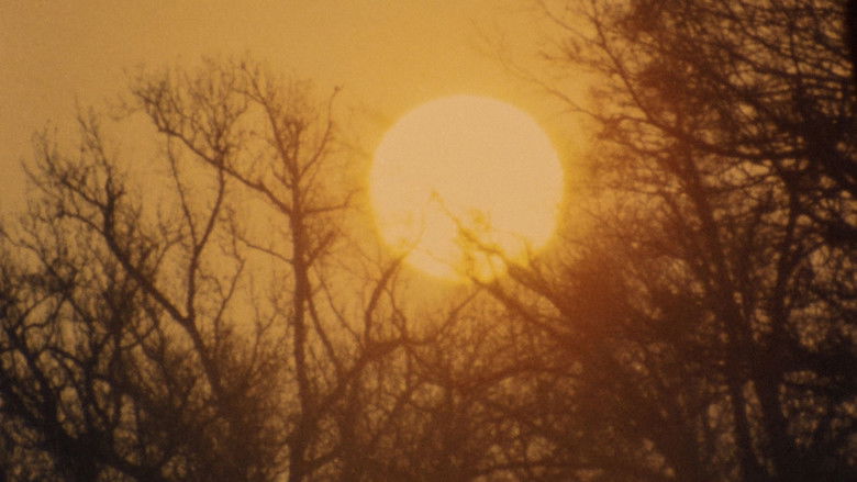 Gallery image from achpSN9XN5OoeQmOrvjeg9u3Q3E.jpg