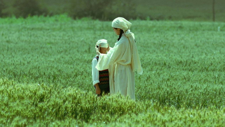 Imatge de 生息之地