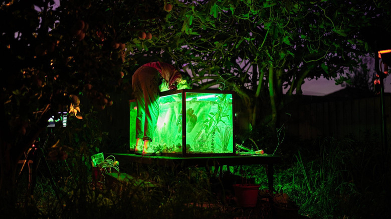 Imatge de The Water Of The Womb