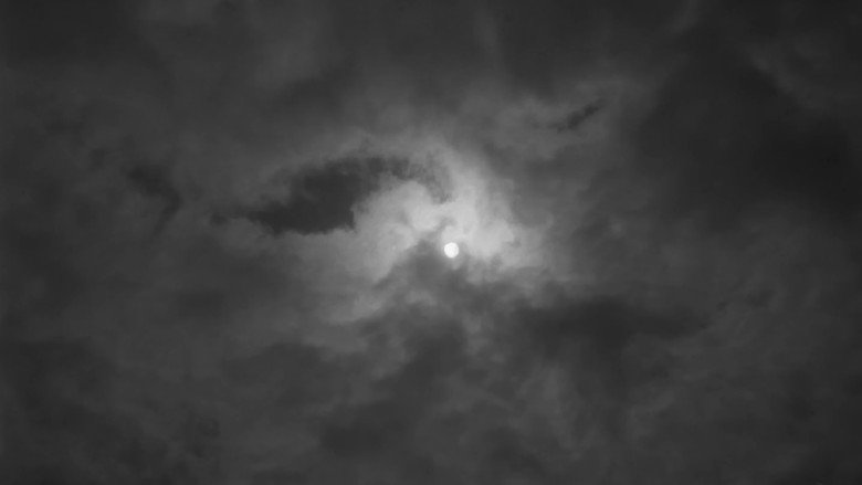 The Cranes Are Flying image 12