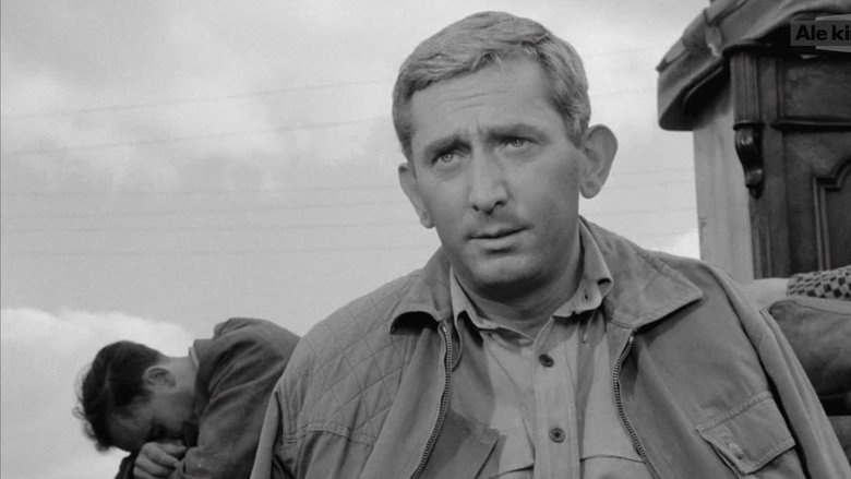 Gallery image from af4Mn5zTqzaWJwi8RXMWa9gRTZT.jpg