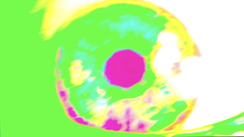 Imatge de Ein Stück Wahnsinn