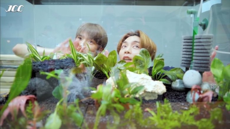Still image for Johnny's Communication Center season 1 episode 24: We Made It! Neo Zone Fish Tank with TY 🐠🌿 Still image for Johnny's Communication Center season 1 episode 24: We Made It! Neo Zone Fish Tank with TY 🐠🌿