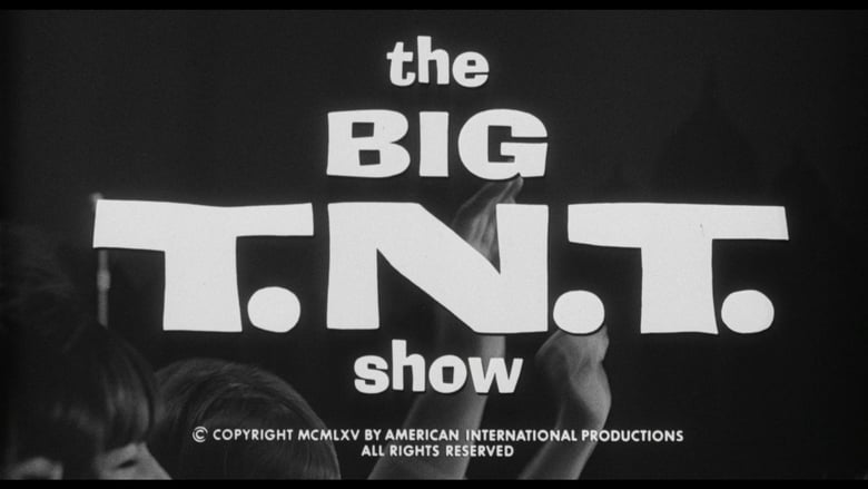 The Big T.N.T. Show movie poster