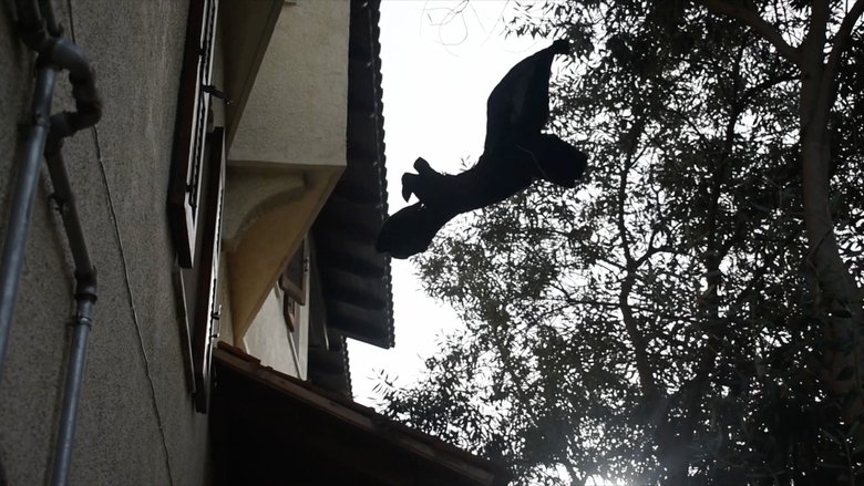 Gallery image from afyMzAb7XdU3s9jPEhSSqW3IJCI.jpg