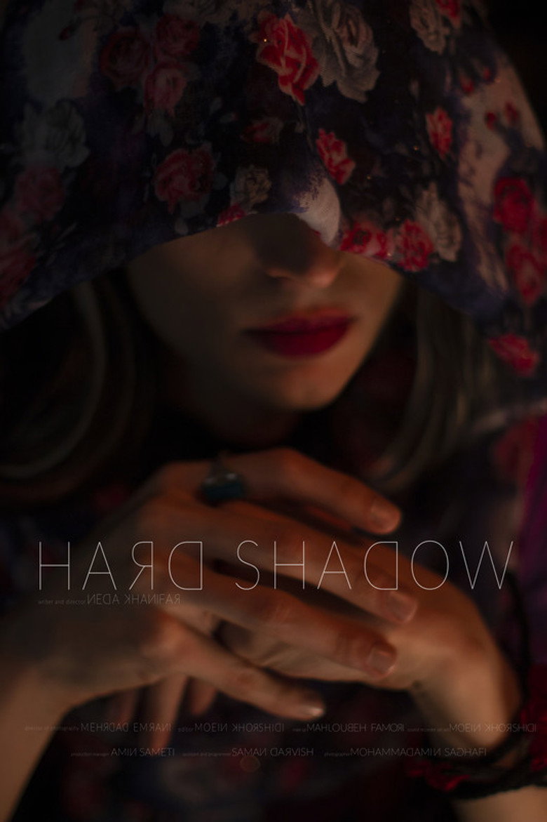 Affiche ou illustration — Hard Shadow