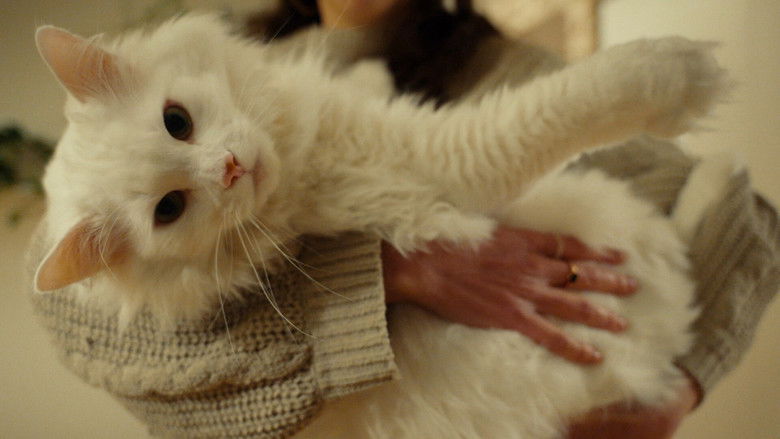 Still image for Finding Diamonds season 1 episode 6: Naeila and Cheri Still image for Finding Diamonds season 1 episode 6: Naeila and Cheri