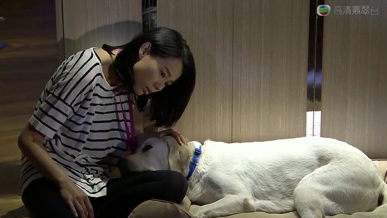 Still image for Every Step You Take season 1 episode 13: Episode 13 Still image for Every Step You Take season 1 episode 13: Episode 13