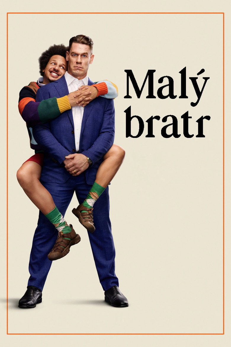 Plakát k filmu Malý bratr