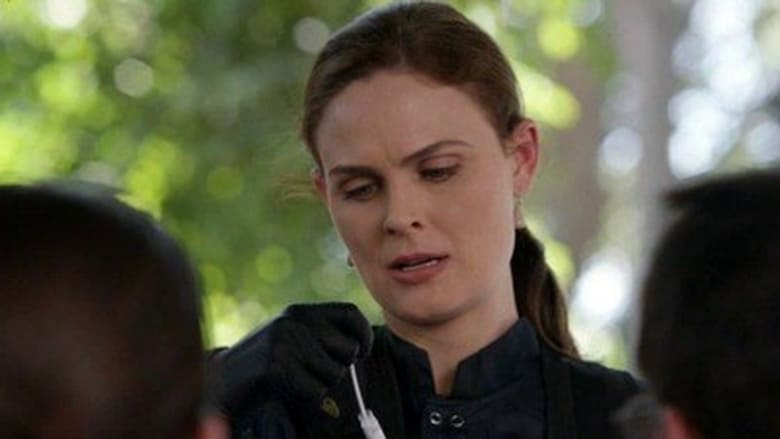 Bones: 8×4