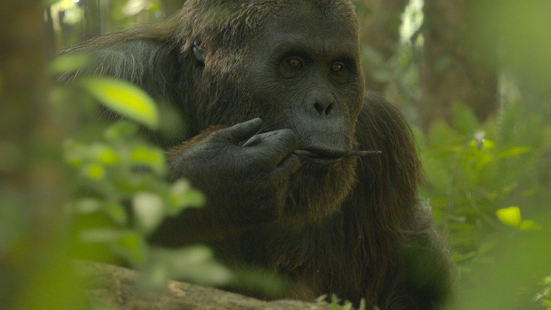 Still from Prehistoric Planet - Season 3 Episode 4