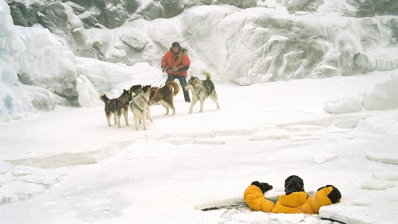 Eight Below/ -22 გრადუსი ცელსიუსით