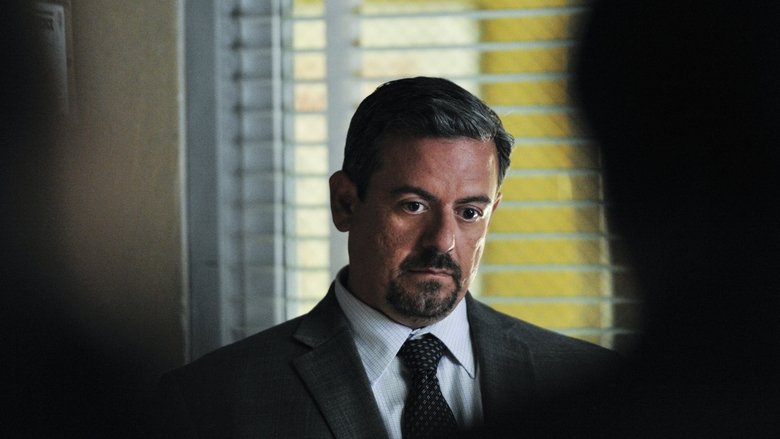 Blue Bloods Burning Series Blue Bloods Burning Series