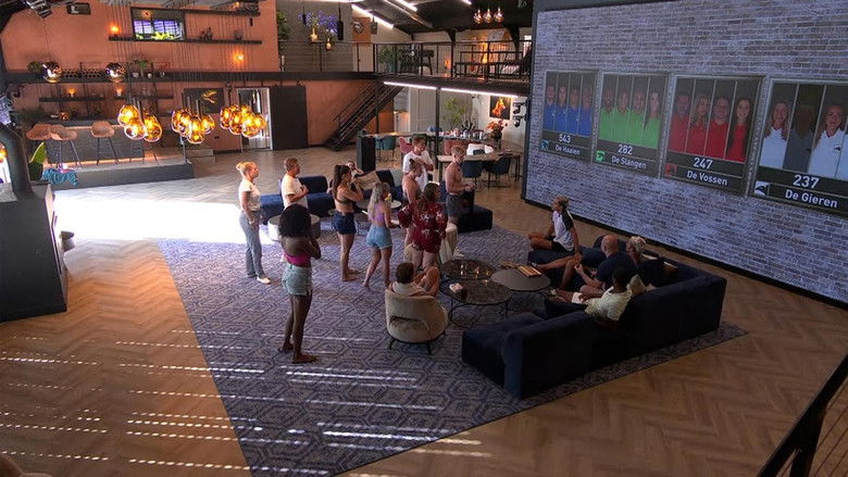 Still image for De Bondgenoten season 1 episode 203: Episode 203