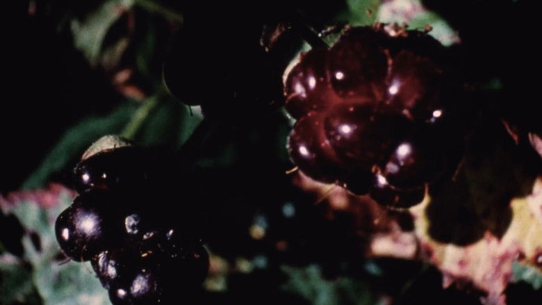 Gallery image from akjfmH0xE2MT7gopV7afaAQM0Th.jpg