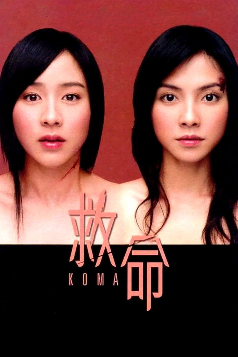 救命 (2004)