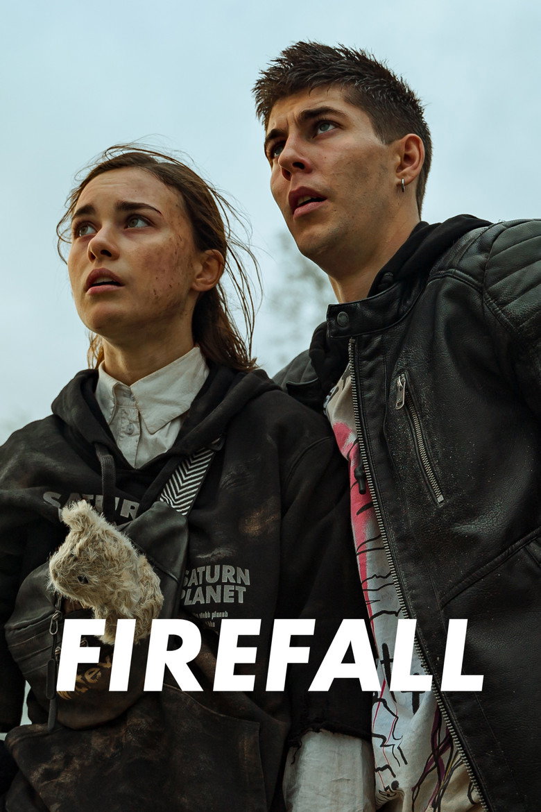 Póster la Película