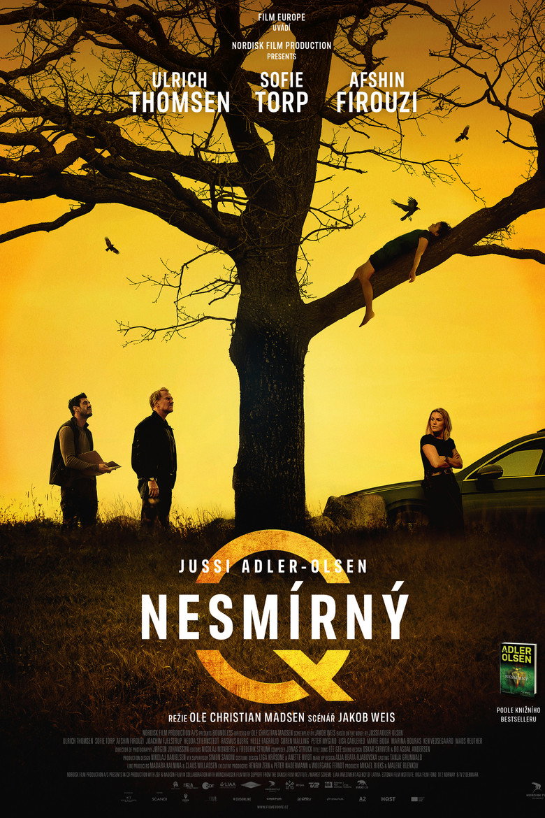 Nesm&iacute;rn&yacute; (2024)