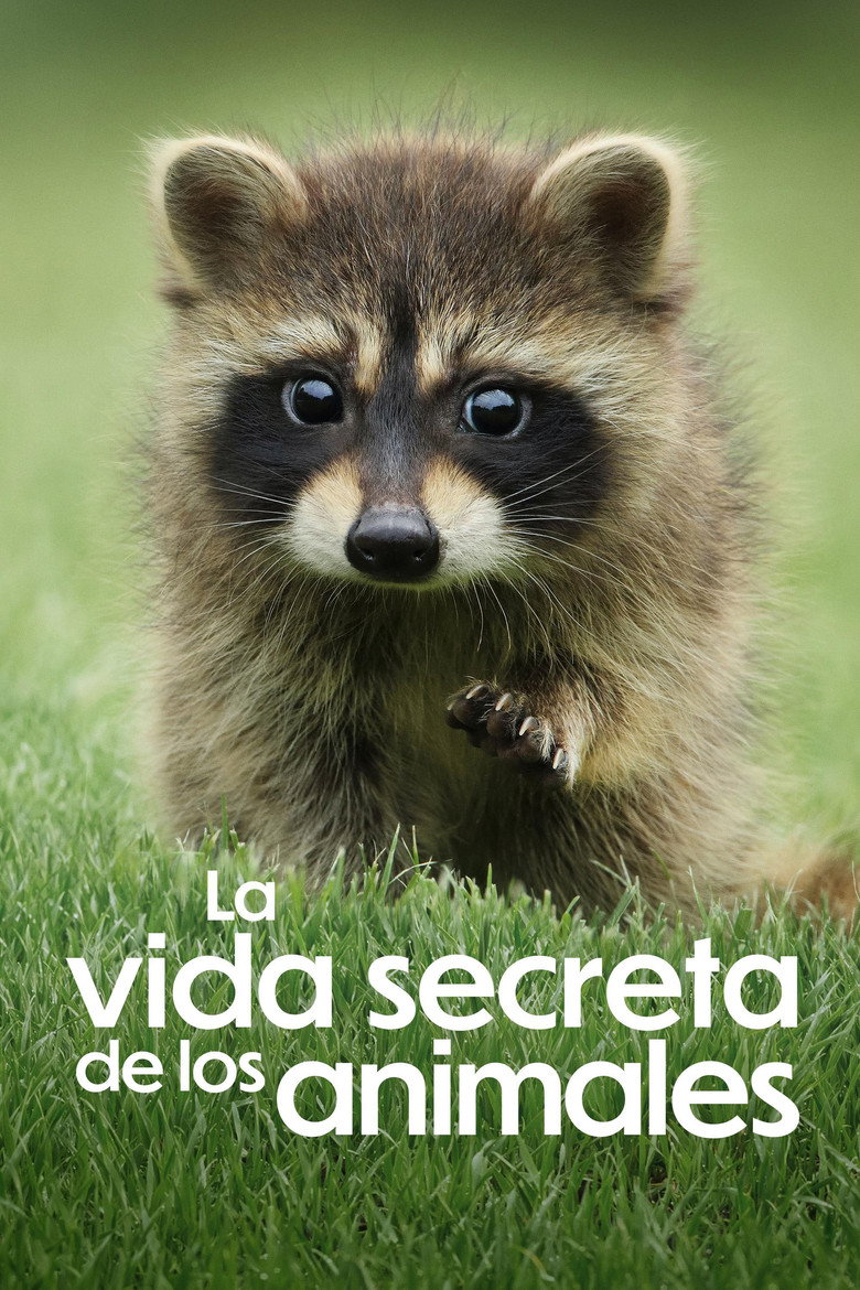 Póster la Serie