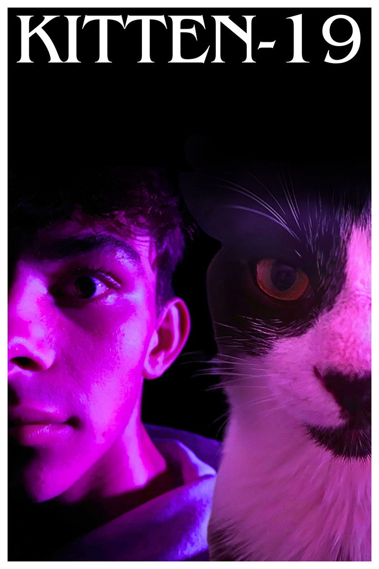 Imatge de Kitten-19