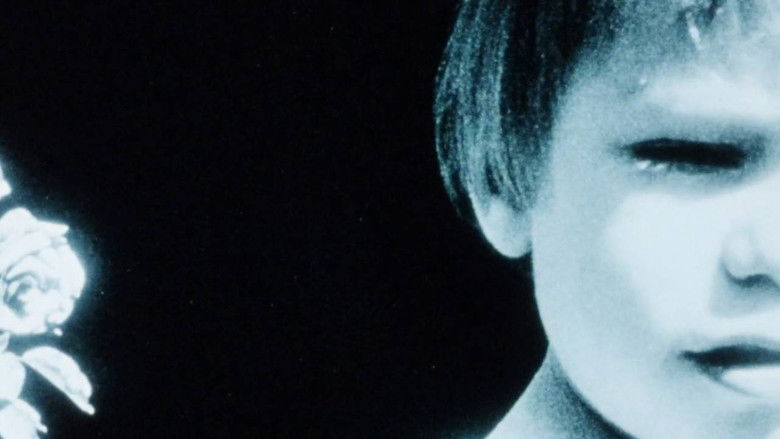 Gallery image from ao5KdH2fXjOnBH8UMebEuwrpQdk.jpg