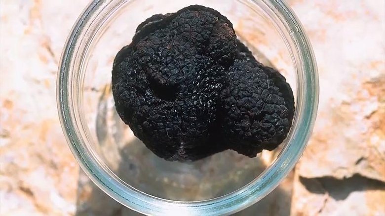 Uzlíky na jazyku Sezóna 1 Epizoda 43 bombuj