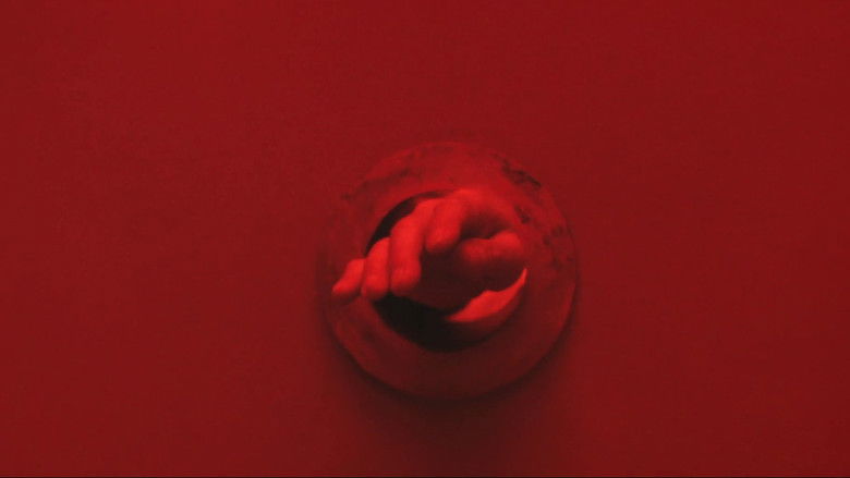 Gallery image from aocToymKGmeHliYHyu2bzcgHxc7.jpg