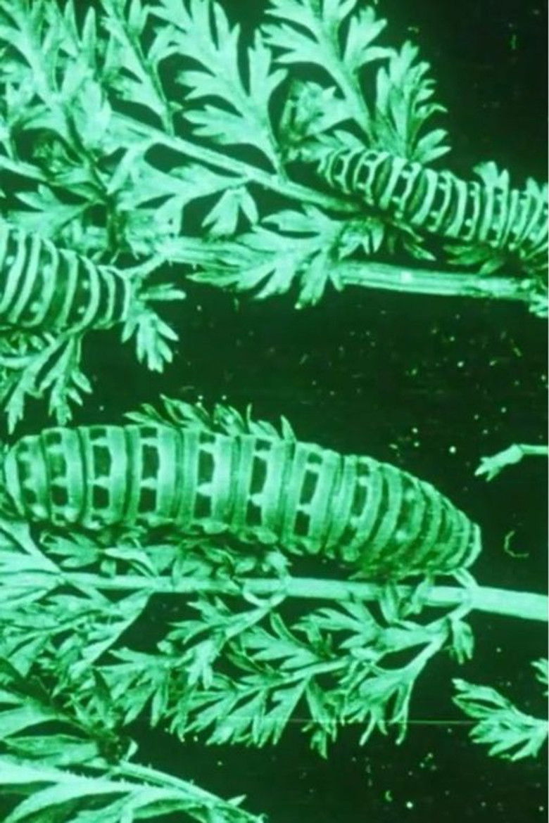 Imatge de Water, Klimaat en Film