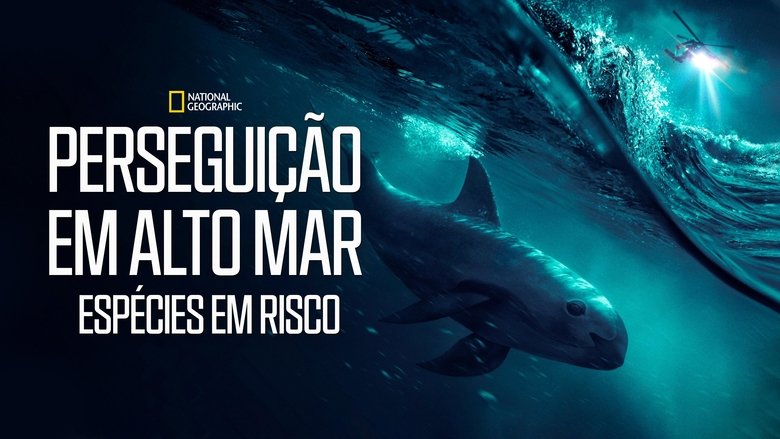 Gallery image from apBpdEBHj99mSj0arHW93xttOw8.jpg