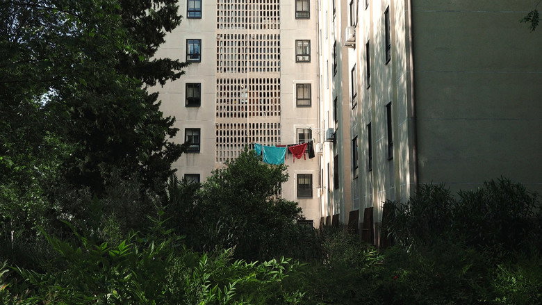 Imatge de Del barro al barrio