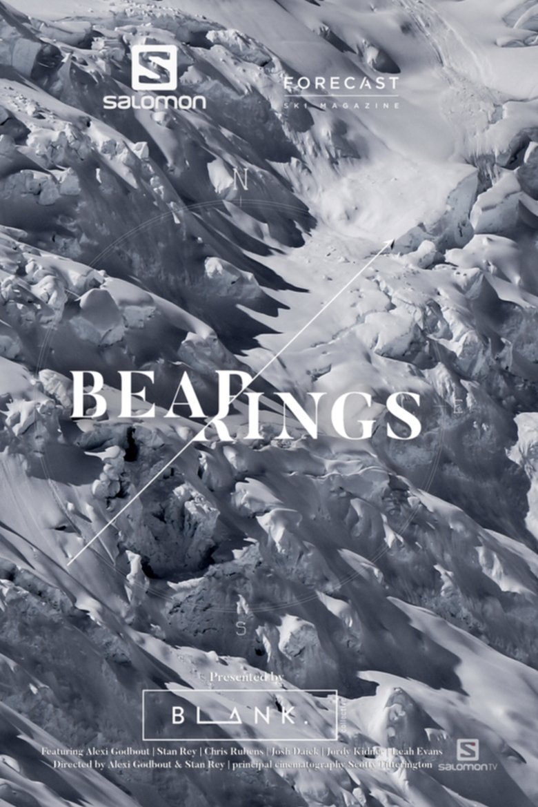 Bearings main poster