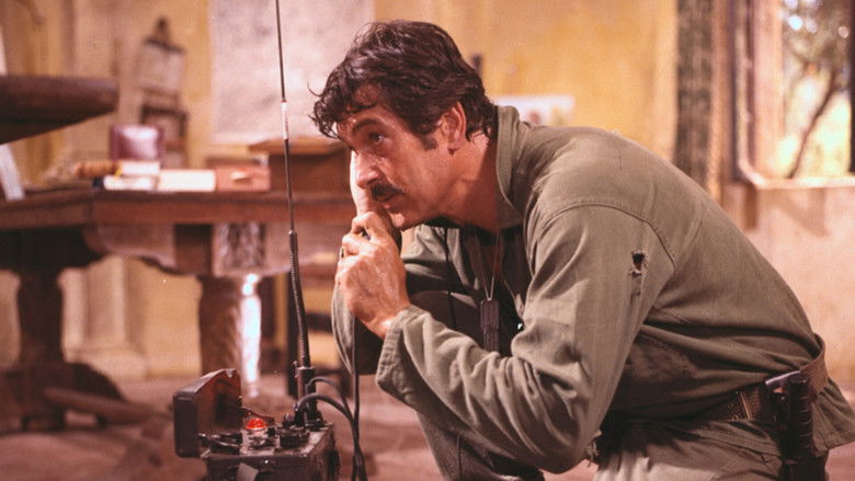 Hornets' Nest backdrop 10