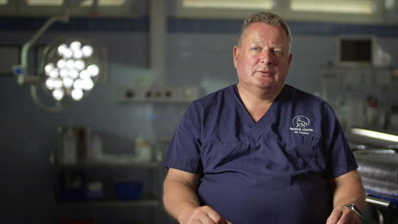 Still image for Totilas - The Million Dollar Business With The Horse of The Century season 1 episode 3: Episode 3 Still image for Totilas - The Million Dollar Business With The Horse of The Century season 1 episode 3: Episode 3