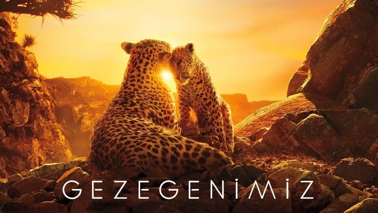 Gallery image from aqduR6Y4RKliTPSj9oCbxph7IFY.jpg