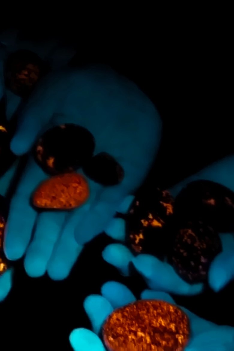 Look On the Bright Side (2024)