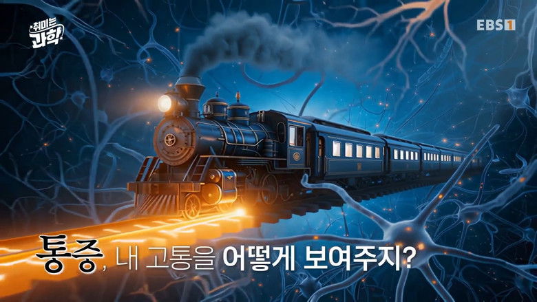 Still image for 취미는 과학 season 1 episode 54: Episode 54 Still image for 취미는 과학 season 1 episode 54: Episode 54